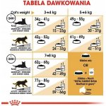 Royal Canin Breed Feline British Shorthair Adult 10 kg – Zboží Mobilmania