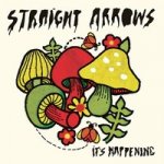 Straight Arrows - It's Happening LP – Hledejceny.cz