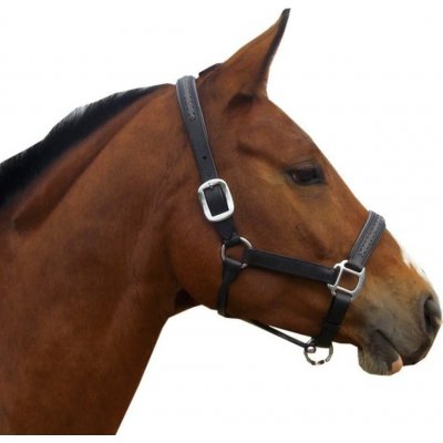 F.R.A. Ohlávka kožená Tabi černá šedá – Zboží Dáma