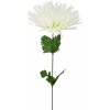 Květina Chryzantéma jehlicovitá bílo - zelená 48 cm, balení 12 ks