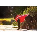 Vsepropejska Faraon bunda pro psa na ZIP – Sleviste.cz