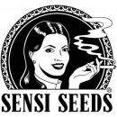 Sensi Seeds Early Girl semena neobsahují THC 10 ks