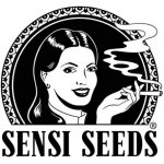 Sensi Seeds Early Girl semena neobsahují THC 10 ks – Hledejceny.cz