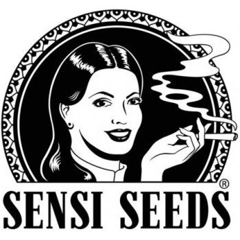 Sensi Seeds Sensi Purple Kush semena neobsahují THC 1 ks