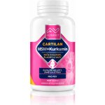 Altervet Cartilan MSM+kurkumin 130 g 100 tbl – Hledejceny.cz