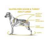 Sam's Field Gluten Free Adult Large Goose & Turkey 13 kg – Sleviste.cz