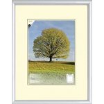 BFHM Plastový rám 50x40 cm stříbrný – Zboží Dáma