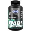 Vitamín a minerál Fitco ZMB6 120 kapslí