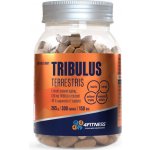 4fitness.cz Tribulus terrestris 625 300 tablet – Zboží Dáma