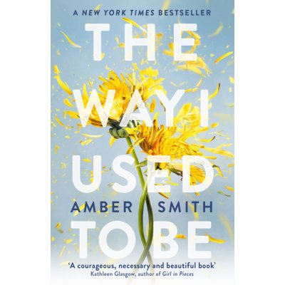 The Way I Used to Be - Smith Amber