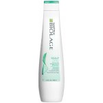 Matrix Biolage ScalpSync Cool Shampoo Mint 250 ml – Zbozi.Blesk.cz