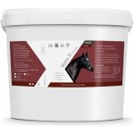 Verm-X Přírodní proti střevním parazitům pro koně 8 kg