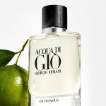 Armani Acqua Di Giò Pour Homme parfémovaná voda pánská 40 ml – Hledejceny.cz
