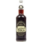Fentimans Curiosity Cola 275 ml – Hledejceny.cz