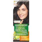 Garnier Color Naturals 2.0 jemně černá – Zboží Mobilmania