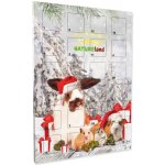 Natureland Adventní kalendář pro hlodavce 0,36 kg – Hledejceny.cz