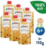 Salvest Põnn BIO Ovocné smoothie s ananasem 6 x 110 g – Zboží Dáma