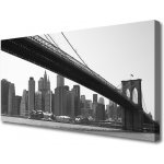 Obraz na plátně Most Město Architektura 100x50 cm – Sleviste.cz