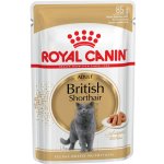 Royal Canin British Shorthair Adult pro britské krátkosrsté kočky 48 x 85 g – Hledejceny.cz