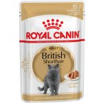 Royal Canin British Shorthair Gravy 12 X 85 g – Sleviste.cz