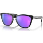 Oakley Frogskins OO9013 H6 – Hledejceny.cz