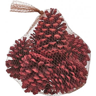 Euro Habitat Velké šišky k dekorování přírodní, pytel 10 cm Bílá – Zboží Mobilmania