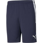 Puma TEAMLIGA TRAINING SHORTS – Zbozi.Blesk.cz