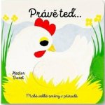 Právě teď… Malé velké změny v přírodě - Hector Dexet – Hledejceny.cz