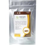 Naturalis Cordyceps extrakt v prášku 100 g – Hledejceny.cz
