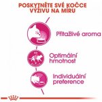 Ferplast Jolly – Hledejceny.cz