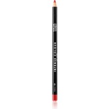 MUA Makeup Academy Intense Colour intenzivní tužka na rty Fancy 1 g