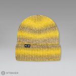 Oakley Ellipse Gradient čepice gradient cactus/olive – Hledejceny.cz