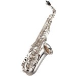 Yamaha YAS 875 EXS – Zboží Dáma