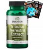 Doplněk stravy na močové a pohlavní orgány Swanson Tribulus Terrestris Extract 500 60 tablet