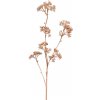 Květina Gasper Patrinia větev růžovozlatá 60 cm
