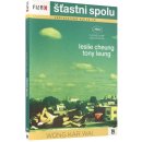 Wong kar-wai: šťastni spolu DVD