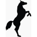 HKM Samolepka na autö černá – Sleviste.cz