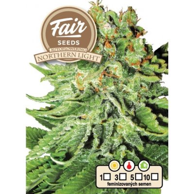 Fair Seeds AUTO Northern Light semena neobsahují THC 5 ks – Hledejceny.cz