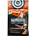 Kannabia Seeds Afrodite semena neobsahují THC 1 ks – Hledejceny.cz