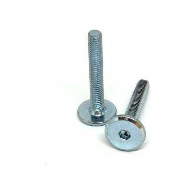 Šroub nábytkářský typ BD, hlava 17 mm, zinek bílý 6 x 100, balení 1 ks – Sleviste.cz