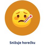 PARALEN GRIP HORKÝ NÁPOJ CITRÓN POR 650MG/10MG POR GRA SUS 12 – Hledejceny.cz