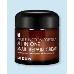 MIZON ALL IN ONE SNAIL REPAIR CREAM 75 ml – Hledejceny.cz