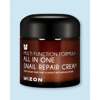 MIZON ALL IN ONE SNAIL REPAIR CREAM 75 ml