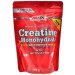 Amix Creatine monohydrate 250 g – Zbozi.Blesk.cz