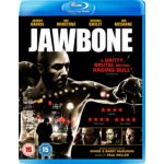 Jawbone BD – Hledejceny.cz