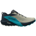 Salomon sense ride 5 Alfalfa/Carbon/Peablu L47458500 – Zboží Dáma