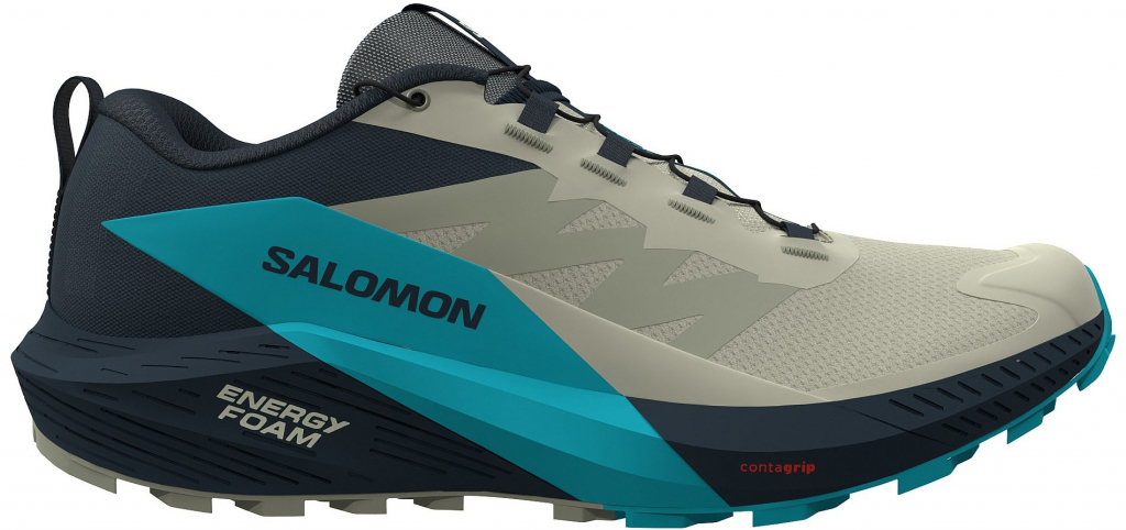 Salomon sense ride 5 Alfalfa/Carbon/Peablu L47458500