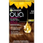 Garnier Olia 5.3 zlatá hnědá barva na vlasy – Hledejceny.cz