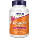 Now Foods Choline 300 mg 100 kapslí – Hledejceny.cz