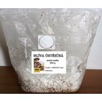 Sadba Hlíva ústřičná cca 0,5 kg – HobbyKompas.cz